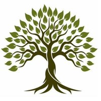 Peepal Tree